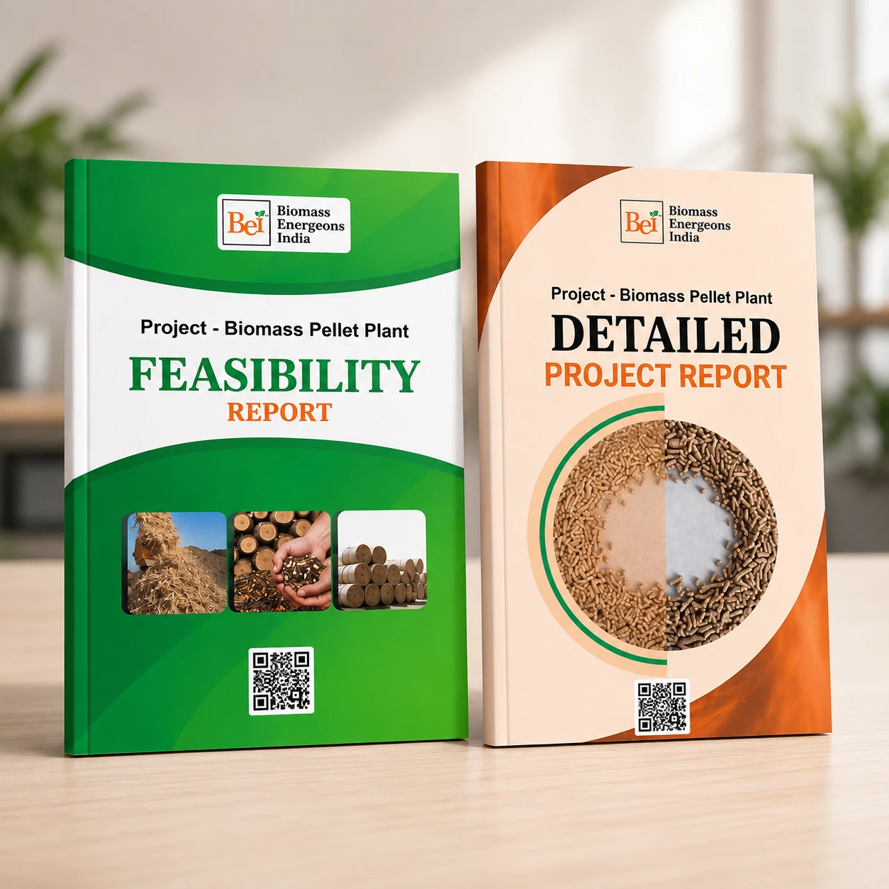 Biomass feasibility report